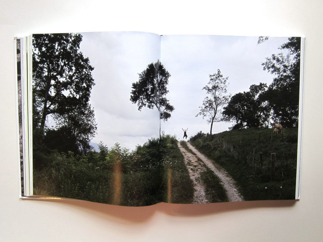 Mugaritz: A Natural Science of Cooking — The Good Bower